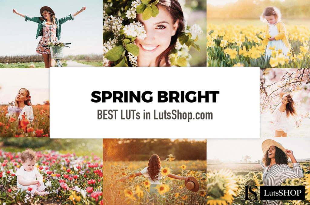 5000+ Master Collection Lightroom Presets For Your Mobile & Desktop