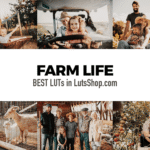 5000+ Master Collection Lightroom Presets For Your Mobile & Desktop