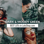 5000+ Master Collection Lightroom Presets For Your Mobile & Desktop